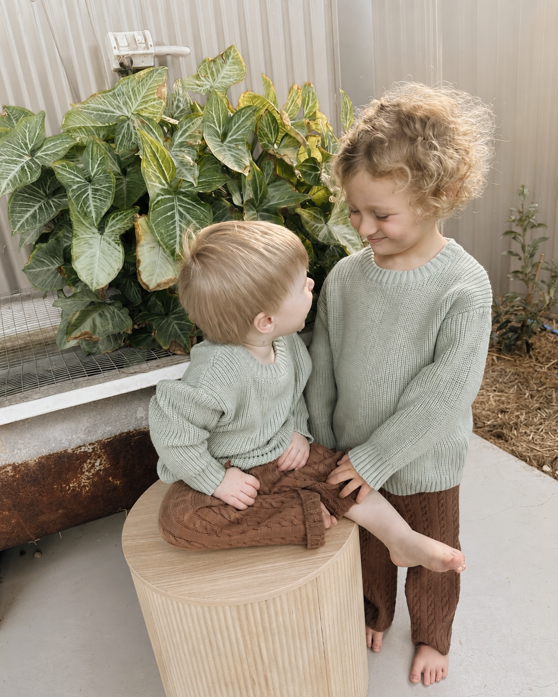 Bushland Knit -Sage