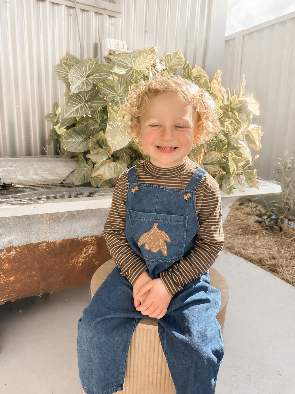 Gumnut Overalls